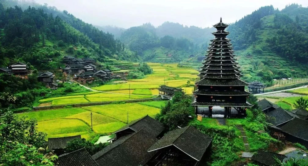 1577498000901137.jpg 1.jpg